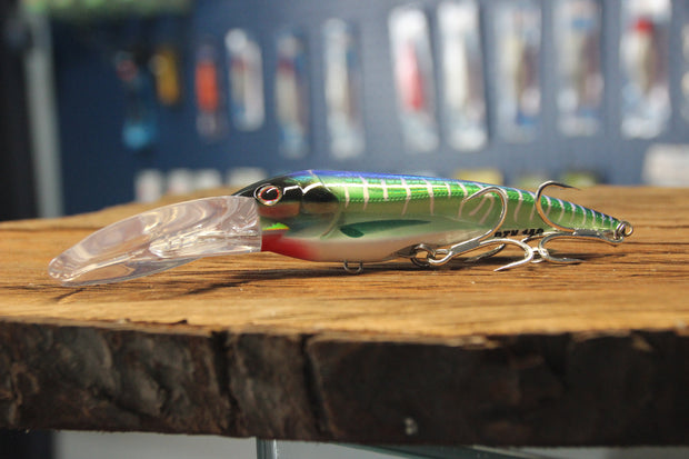 DTX Minnow Casting Lures